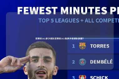 世界杯2022多少球队世界杯2022有多少支球队参赛？