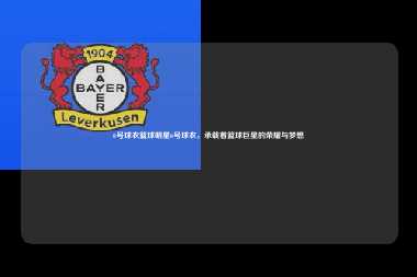 6号球衣篮球明星6号球衣，承载着篮球巨星的荣耀与梦想