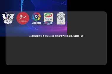 2022世界杯有多少球队2022年卡塔尔世界杯参赛队伍数量一览