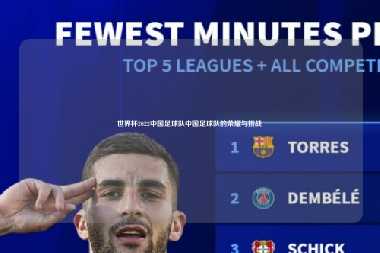 世界杯2022中国足球队中国足球队的荣耀与挑战