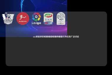 nba球员评价哈登碰瓷哈登的碰瓷行为引发广泛讨论